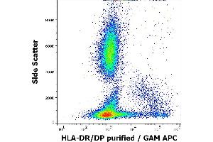 Flow cytometry surface staining pattern of human peripheral whole blood stained using anti-human HLA-DR/DP (HL-40) purified antibody (concentration in sample 1 μg/mL) GAM APC. (HLA-DP/DR antibody)