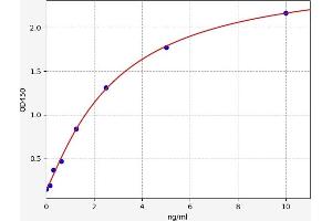 CDK7 ELISA Kit