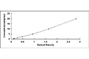 Typical standard curve (Dopamine d2 Receptor ELISA Kit)