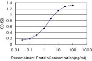 Detection limit for recombinant GST tagged FOXO3A is approximately 0. (FOXO3 antibody  (AA 361-460))