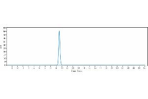 anti-HtrA Serine Peptidase 1 (HTRA1) antibody