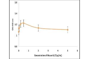 Activity Assay (AcA) image for Interleukin 17 (IL17) (Active) protein (ABIN5509454) (IL-17 Protein)