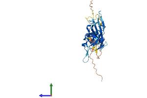 AlphaFold protein structure predicition of Mouse Recombinant Kcnj13 Protein, UniprotID P86046