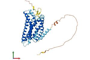 AlphaFold protein structure predicition of Human Recombinant GPR4 Protein, UniprotID P46093 (GPR4 Protein (AA 1-362) (His tag))
