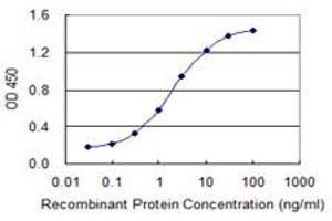 Detection limit for recombinant GST tagged MYCBP is 0. (MYCBP antibody  (AA 1-103))