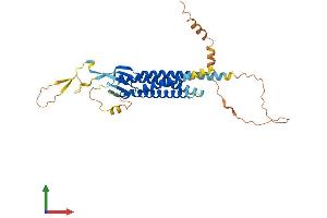 AlphaFold protein structure predicition of Human Recombinant GSG1 Protein, UniprotID Q2KHT4 (GSG1 Protein (AA 1-349) (His tag))