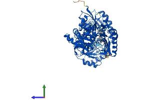 AlphaFold protein structure predicition of Mouse Recombinant Gne Protein, UniprotID Q91WG8