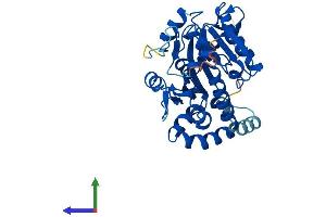 Protein Structure (PS) image for NOP2/Sun Domain Family, Member 3 (NSUN3) (AA 1-348) protein (His tag) (ABIN7559252)