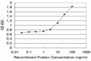 Detection limit for recombinant GST tagged TAP1 is approximately 1ng/ml as a capture antibody. (TAP1 antibody  (AA 241-350))