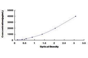 CD59 (CD59) ELISA Kit