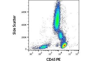 Flow cytometry surface staining pattern of human peripheral whole blood stained using anti-human CD45 (MEM-28) PE antibody (20 μL reagent / 100 μL of peripheral whole blood). (CD45 antibody  (PE))