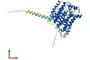 AlphaFold protein structure predicition of Human Recombinant ALG3 Protein, UniprotID Q92685 (ALG3 Protein (AA 1-438) (His tag))