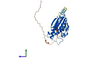 AlphaFold protein structure predicition of Human Recombinant PGAM5 Protein, UniprotID Q96HS1