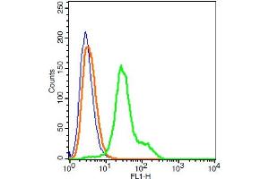 Human 293T cells probed with Claudin 1 Polyclonal Antibody, A488 conjugated (bs-1428R-A488) (green) at 1:100 for 30 minutes compared to unstained cells (blue) and isotype control (orange). (Claudin 1 antibody  (AA 121-211) (Alexa Fluor 488))