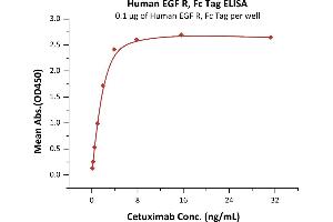 Immobilized Human EGF R, Fc Tag (ABIN2181001,ABIN2181000) at 1 μg/mL (100 μL/well) can bind Cetuximab with a linear range of 0. (EGFR Protein (AA 25-645) (Fc Tag))