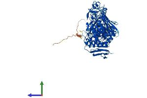 AlphaFold protein structure predicition of Human Recombinant MYORG Protein, UniprotID Q6NSJ0 (MYORG/KIAA1161 Protein (AA 1-714) (His tag))