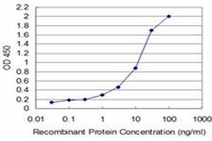 Detection limit for recombinant GST tagged TESK2 is approximately 0. (TESK2 antibody  (AA 405-542))