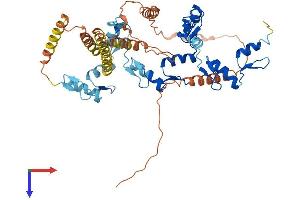 AlphaFold protein structure predicition of Human Recombinant ZNF286B Protein, UniprotID P0CG31