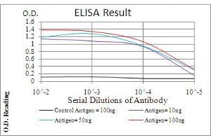 Black line: Control Antigen (100 ng), Purple line: Antigen(10 ng), Blue line: Antigen (50 ng), Red line: Antigen (100 ng), (Phospholipase C gamma 2 antibody  (AA 826-985))