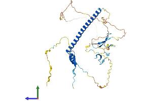 Protein Structure (PS) image for WW Domain Binding Protein 4 (WBP4) (AA 1-376) protein (His tag) (ABIN7545125)