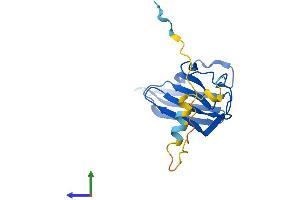 AlphaFold protein structure predicition of Mouse Recombinant Ptges3 Protein, UniprotID Q9R0Q7