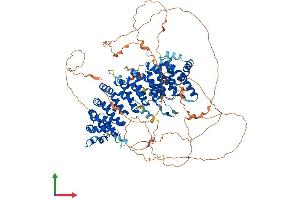 AlphaFold protein structure predicition of Human Recombinant PPP6R2 Protein, UniprotID O75170 (SAPS2 Protein (AA 1-966) (His tag))