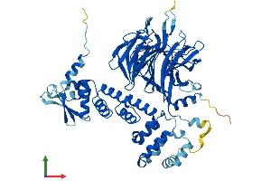 AlphaFold protein structure predicition of Human Recombinant GAN Protein, UniprotID Q9H2C0