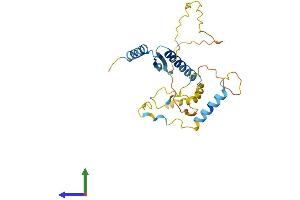 AlphaFold protein structure predicition of Mouse Recombinant Akt1s1 Protein, UniprotID Q9D1F4 (PRAS40 Protein (AA 1-257) (His tag))