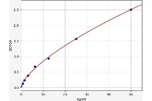 Typical standard curve (ICAM2 ELISA Kit)