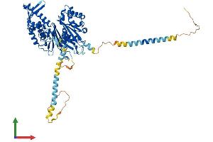 AlphaFold protein structure predicition of Mouse Recombinant Entpd7 Protein, UniprotID Q3TCT4