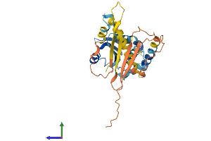 AlphaFold protein structure predicition of Human Recombinant DUSP15 Protein, UniprotID Q9H1R2