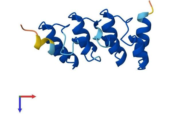 CDKN2B Protein (AA 1-130) (His tag)