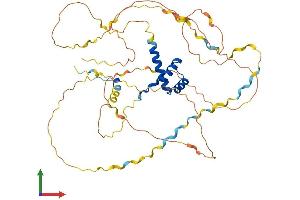 AlphaFold protein structure predicition of Mouse Recombinant Hoxa3 Protein, UniprotID P02831