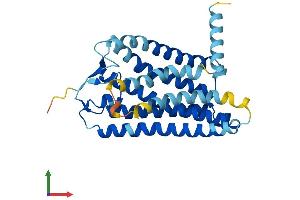 AlphaFold protein structure predicition of Human Recombinant OR5B3 Protein, UniprotID Q8NH48 (OR5B3 Protein (AA 1-314) (His tag))