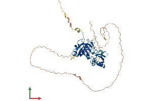 AlphaFold protein structure predicition of Human Recombinant TRMO Protein, UniprotID Q9BU70