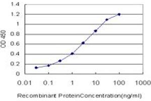 Detection limit for recombinant GST tagged TAPBPL is approximately 0. (TAPBPL antibody  (AA 23-121))