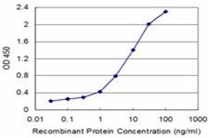 Detection limit for recombinant GST tagged KISS1 is approximately 0. (KISS1 antibody  (AA 46-145))