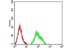 Flow cytometric analysis of Ramos cells using CD120B mouse mAb (green) and negative control (red). (TNFRSF1B antibody  (AA 23-257))
