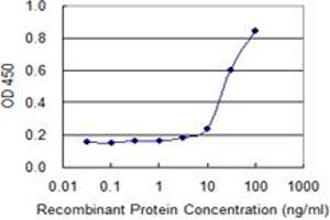 Detection limit for recombinant GST tagged SPAG4 is 1 ng/ml as a capture antibody. (SPAG4 antibody  (AA 221-330))