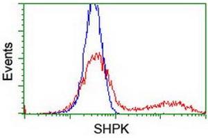 HEK293T cells transfected with either RC204421 overexpress plasmid (Red) or empty vector control plasmid (Blue) were immunostained by anti-SHPK antibody (ABIN2454861), and then analyzed by flow cytometry. (SHPK antibody)