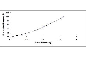 CD166 ELISA Kit