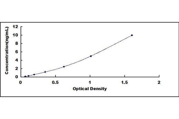 CD166 ELISA Kit