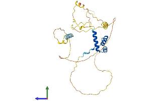 Protein Structure (PS) image for Orthopedia Homeobox (OTP) (AA 1-325) protein (His tag) (ABIN7550397)