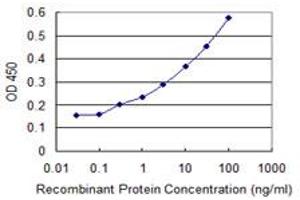 Detection limit for recombinant GST tagged AMELX is 0. (AMELX antibody  (AA 93-191))