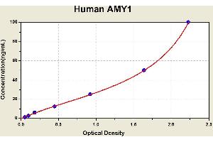 Diagramm of the ELISA kit to detect Human AMY1with the optical density on the x-axis and the concentration on the y-axis.