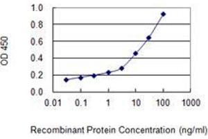 Detection limit for recombinant GST tagged UGT1A1 is 0. (UGT1A1 antibody  (AA 54-159))