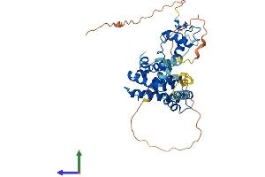 Protein Structure (PS) image for Nuclear Receptor Subfamily 2, Group E, Member 3 (NR2E3) (AA 1-395) protein (His tag) (ABIN7561770)