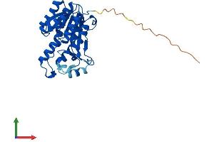 AlphaFold protein structure predicition of Human Recombinant DHRS4 Protein, UniprotID Q9BTZ2 (DHRS4 Protein (AA 1-278) (His tag))