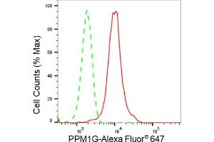 Flow cytometric analysis of PPM1G expression in HepG2 cells using PPM1G antibody (ABIN7800035), 1:2,000). (Recombinant PPM1G antibody)