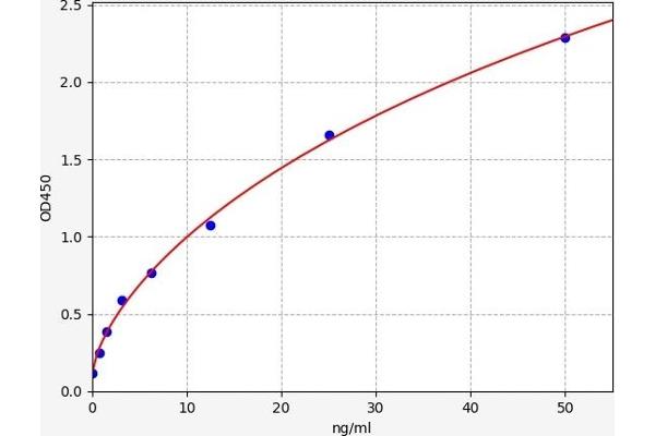 C-JUN ELISA Kit